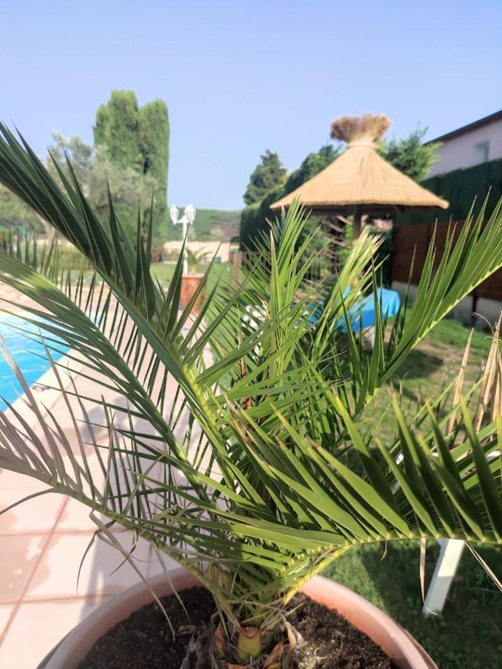 Les Chambres D'Hotes D'Eloise, Piscine Privee Aramon Bagian luar foto